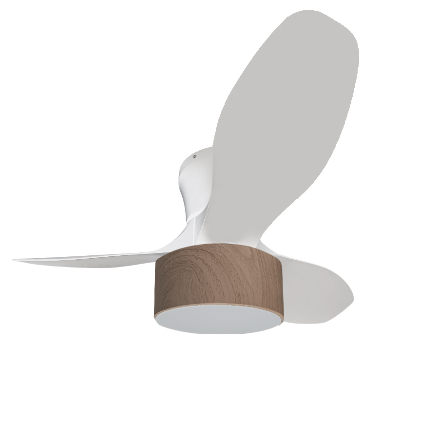 10549FAN_FLYMAXI_HAYA